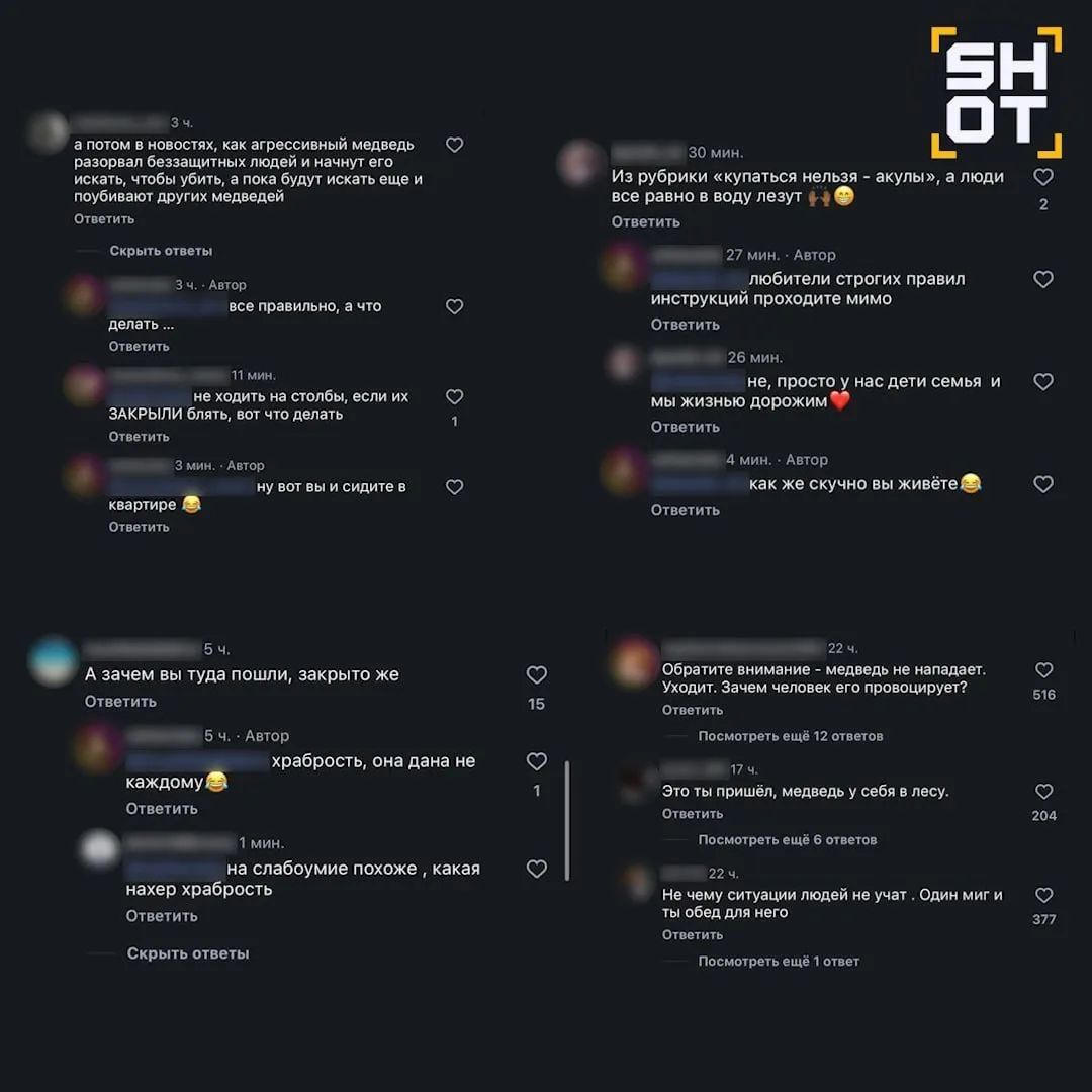 Привлекать к ответственности тех, кто подкармливает медведей, требуют в соцсетях