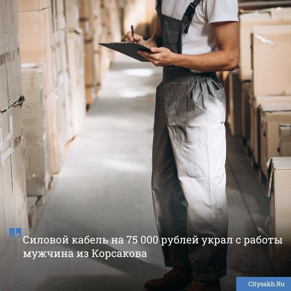 😲 Кражу на предприятии раскрыла корсаковская полиция: мастер приемки стащил со склада свой компании 
