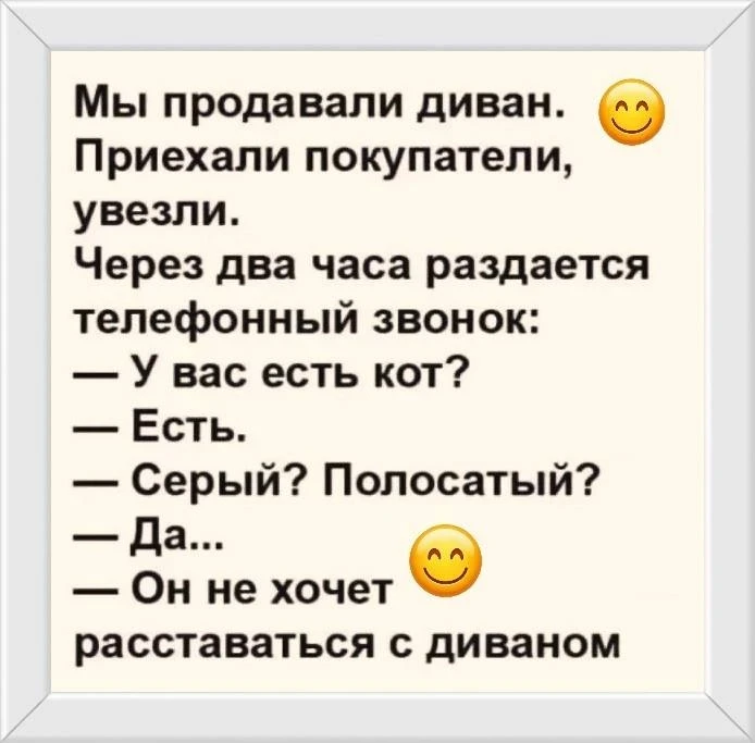 🤣Юмор в картинках