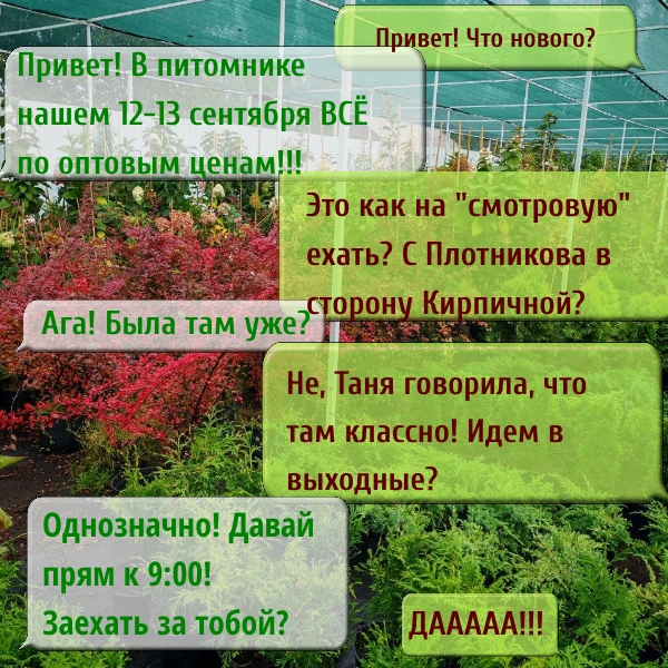 ТОЛЬКО 12-13 сентября!