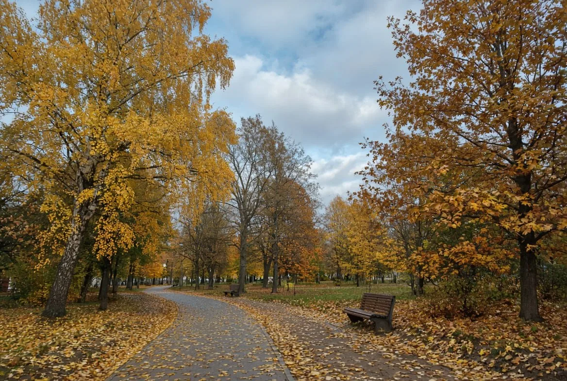 Сегодня будет  переменная облачность, преимущественно без осадков.