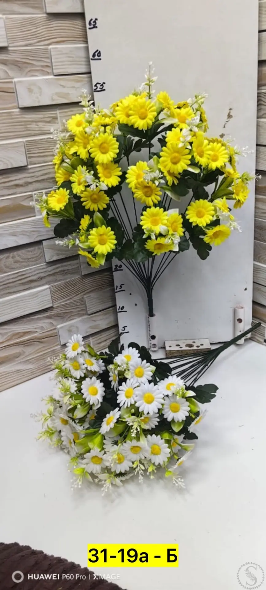 https://vk.com/photo-184814919_493427598