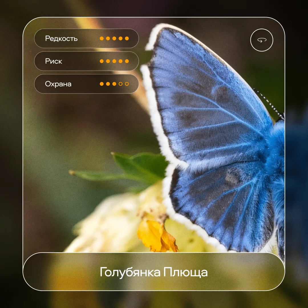 Природа прячет самое интересное в маленьких созданиях 💙