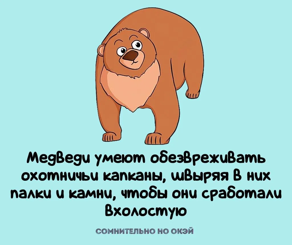 Признавайтесь, знали?