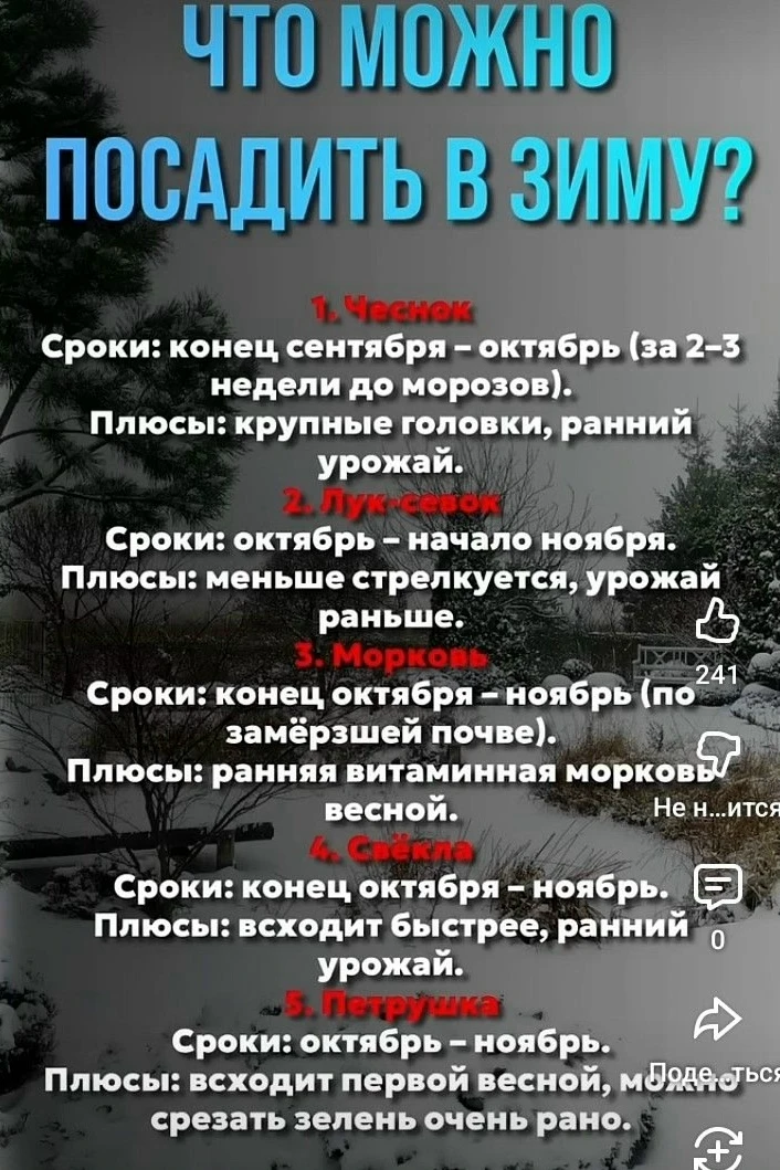 Что посадить в зиму 🌱