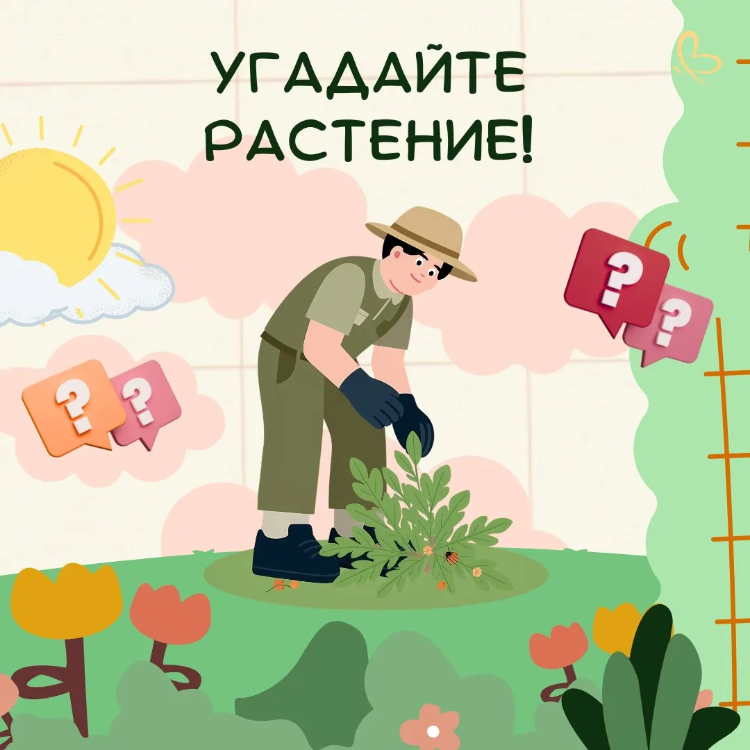 🍯 Поздравляем с Медовым Спасом! Сегодня мы загадали растение - медонос, которое можно ...