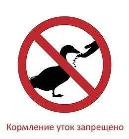 🦆 Парк «Городское озеро» (Ессентуки) обратите внимание!