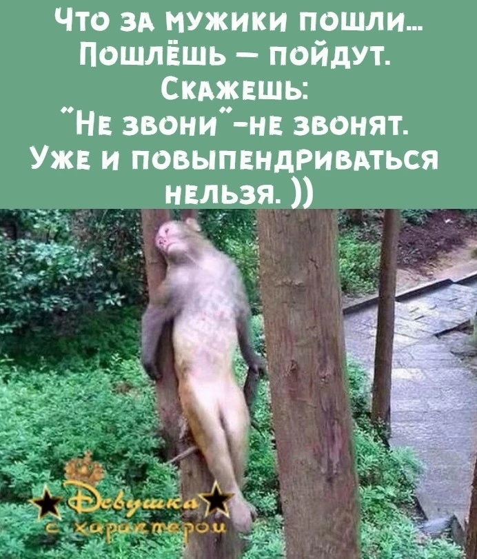👑 Мадам с характером| 
Женский юмор  в MAX