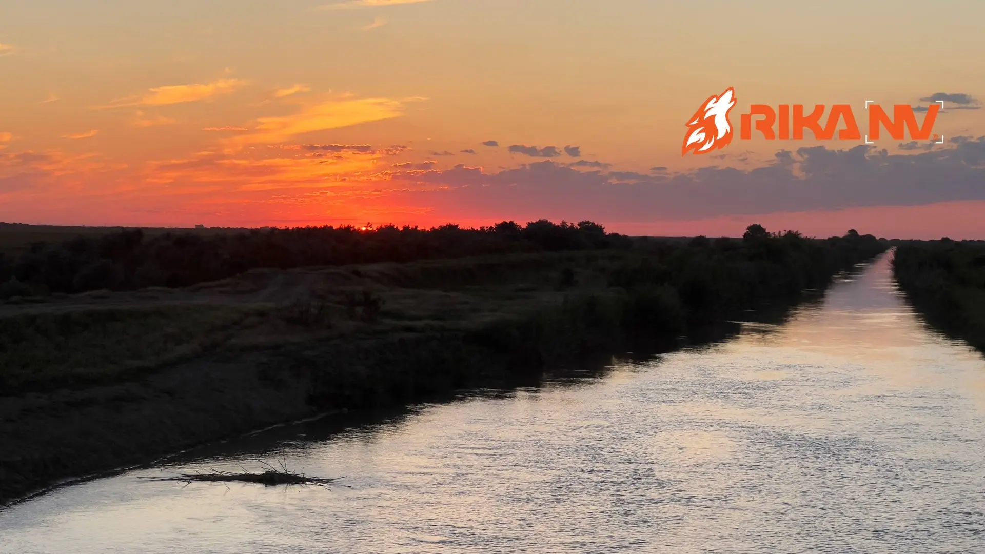 Утренние, летние краски природы вам в ленту!🌅