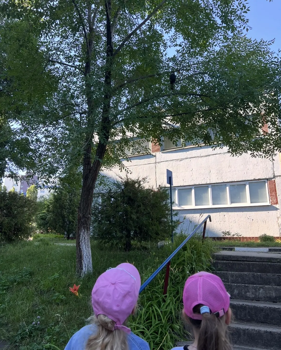 В группе №4 «Калинка» прошла познавательная прогулка. Вместе с воспитателями ребята изу...