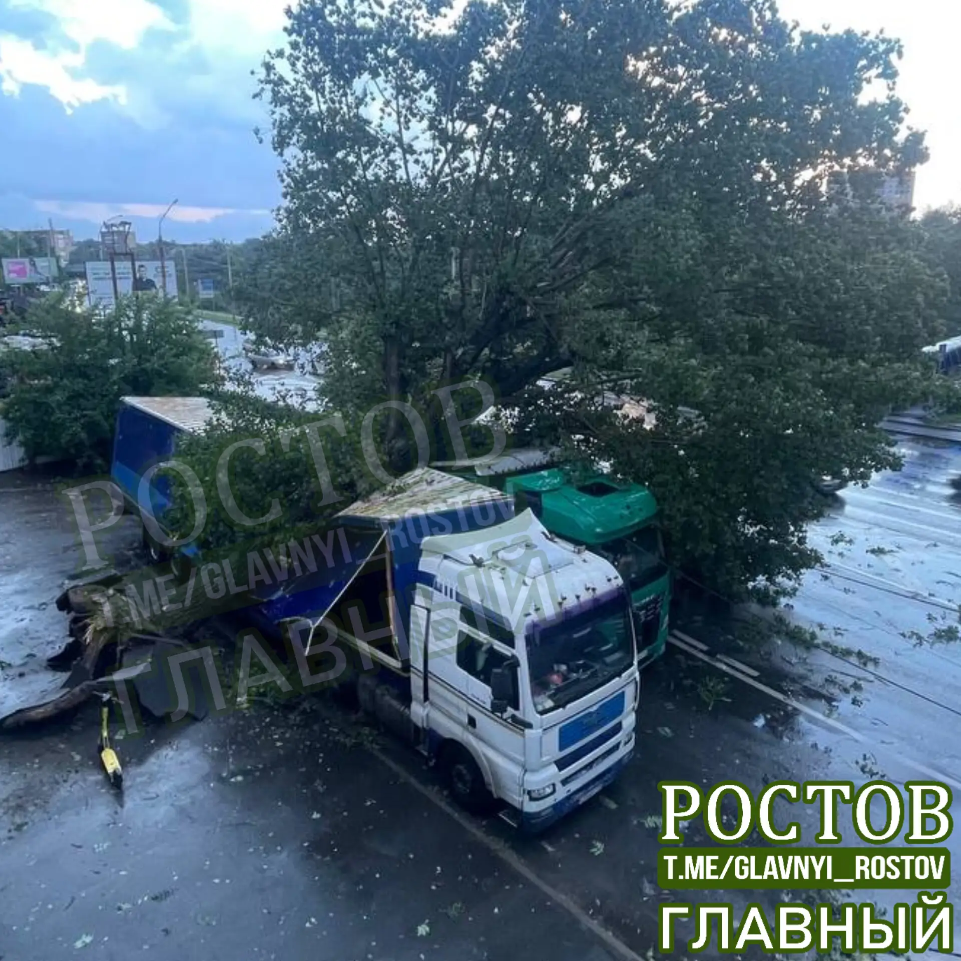 🫣 Дерево слишком сблизилось с фурой на Менжинского