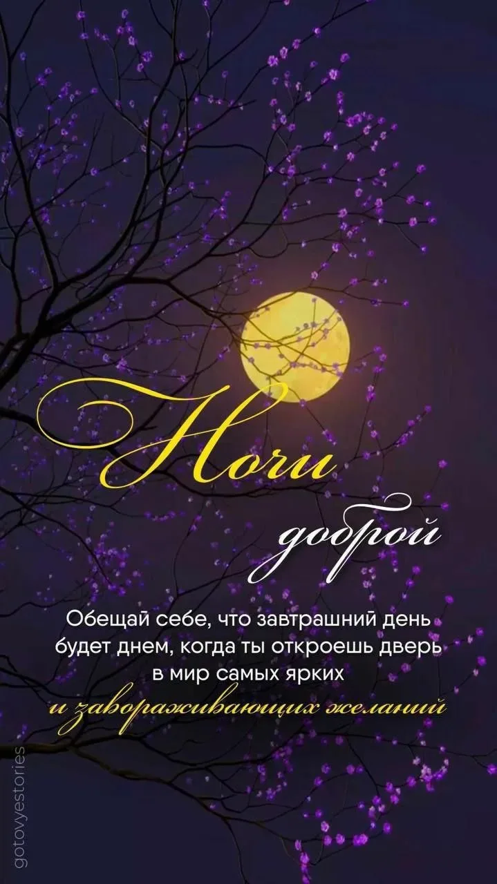 Доброй ночи 🌙