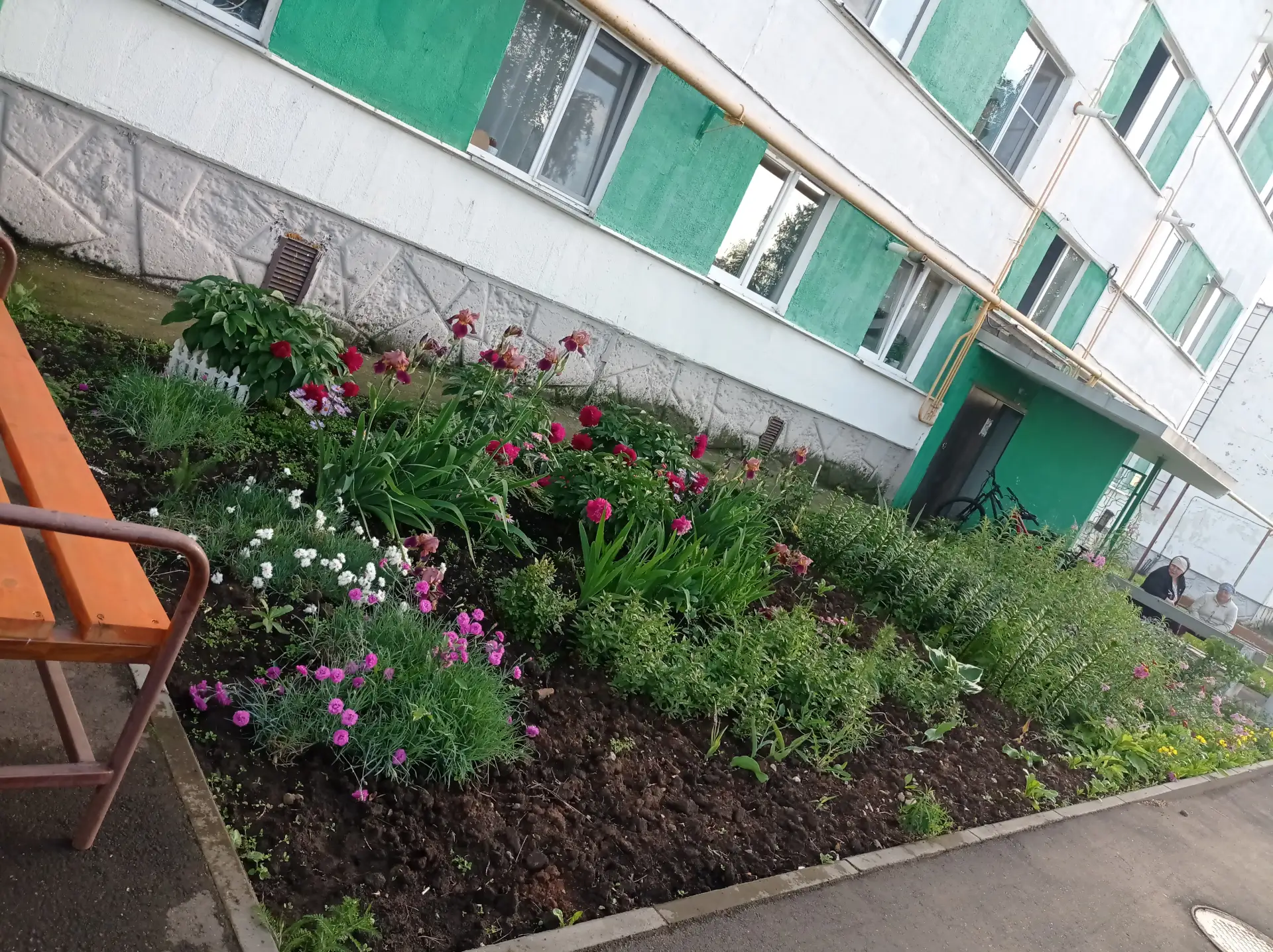 Красота от жителей п.Комсомолец