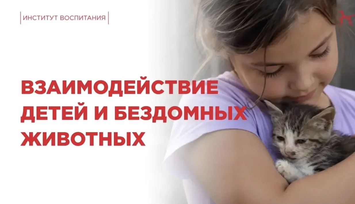 Всемирный день бездомных животных - повод поговорить с детьми о доброте, сострадании и ...