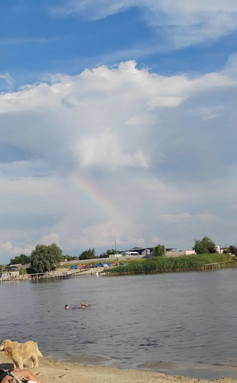 Сегодня у нас в гостях были друзья из города. Мы ездили на пляж купаться.

Лев Максимович 🦁 сегодня