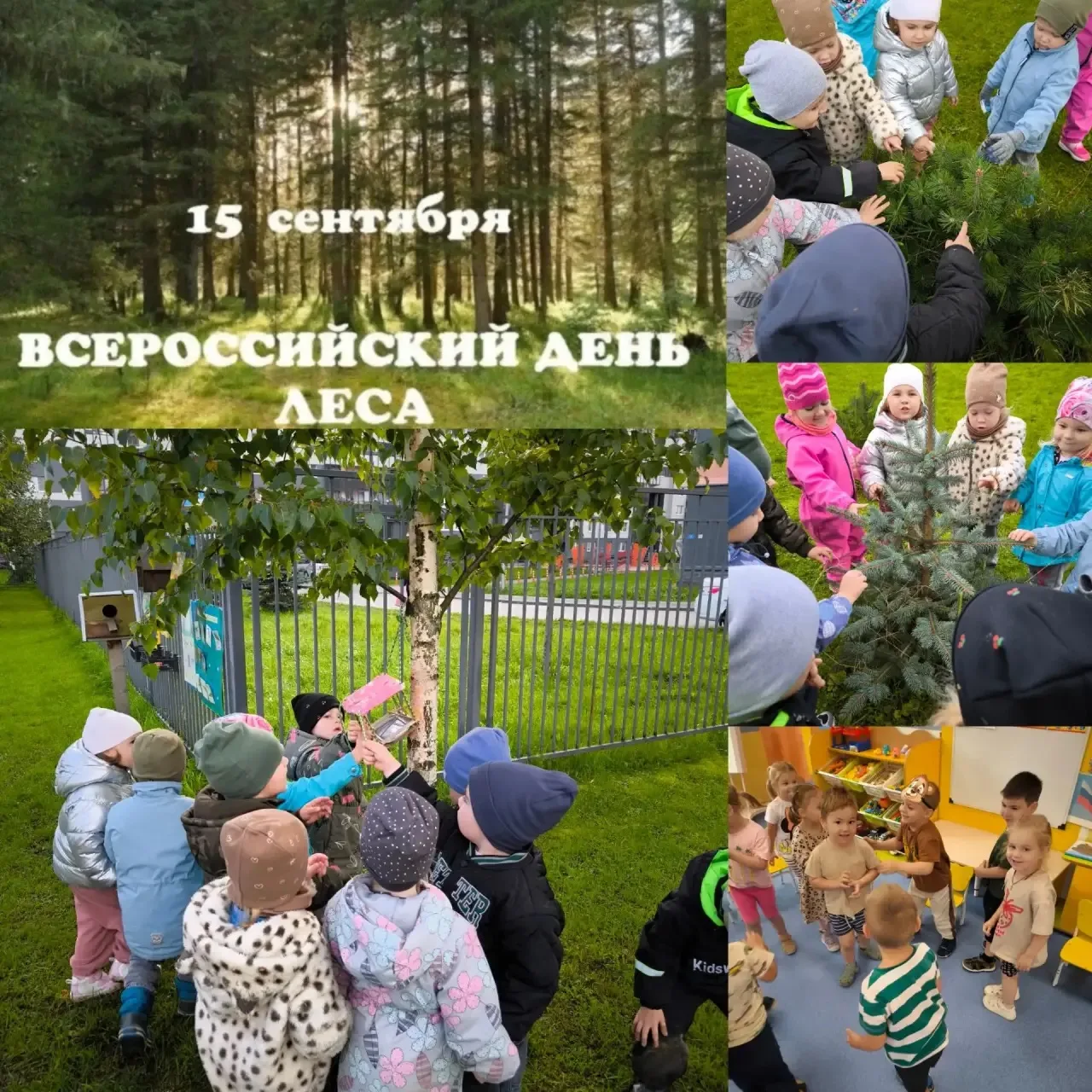 🌳 День леса — наш любимый праздник! 🌲