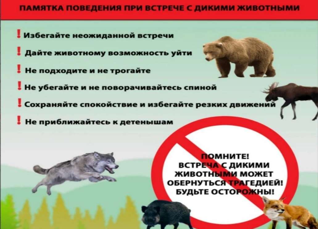 ИНСТРУКЦИЯ