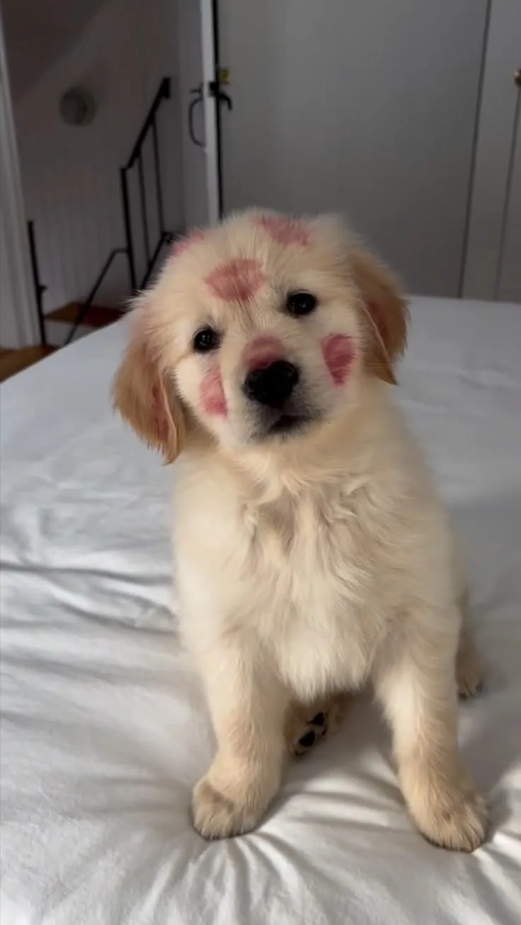 Чмок💋