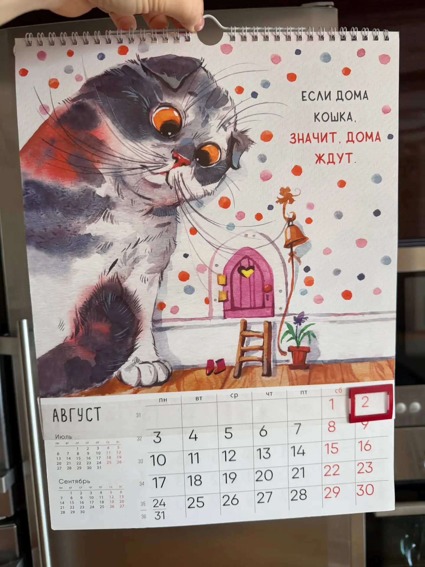 Привет вам от моего котокалендаря ☺️

С Августом нас!