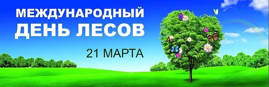 🌳21 марта ежегодно отмечается Международный день лесов (Всемирный день защиты лесов) 🌳