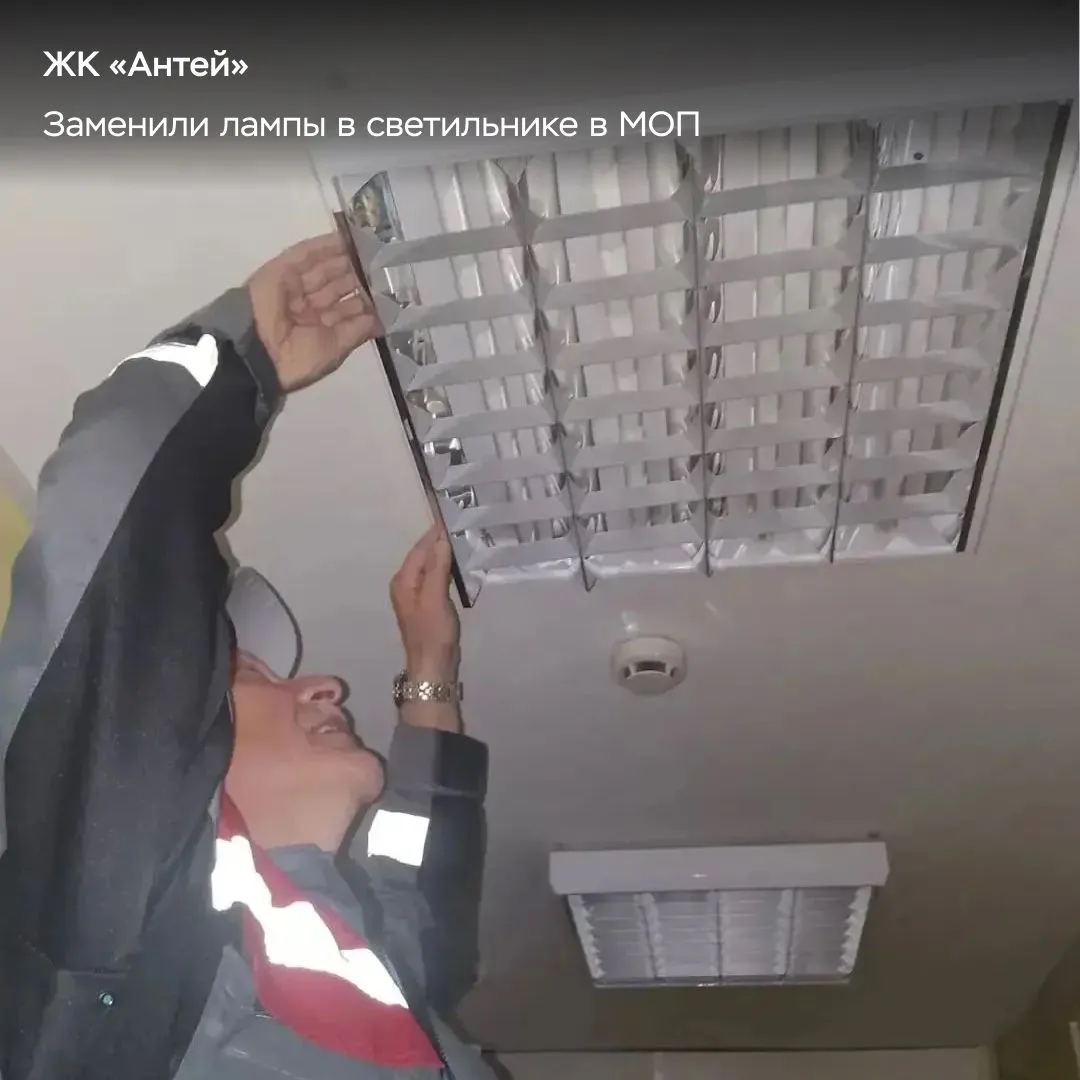 Еженедельный отчёт. Часть 2. 💛