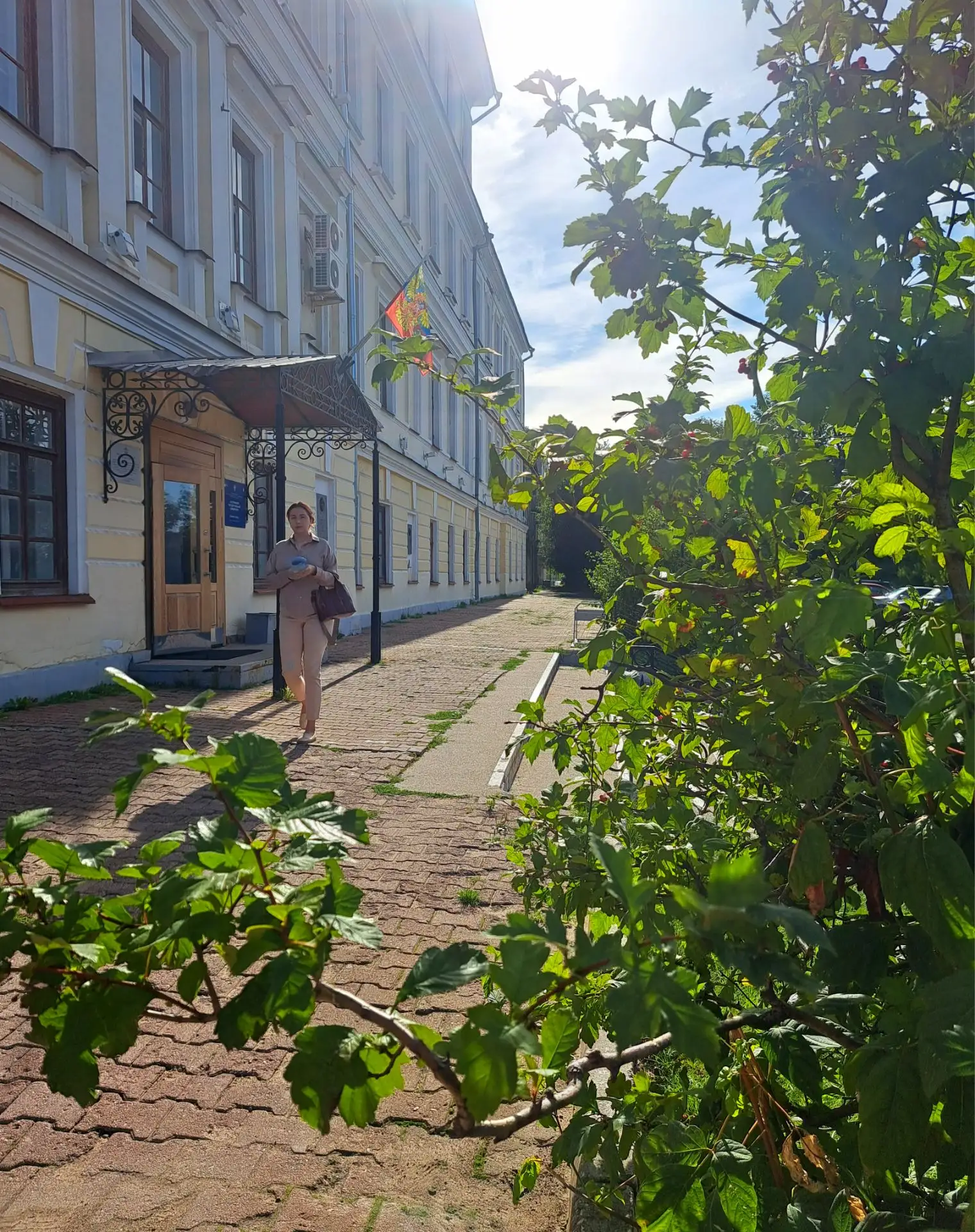 Солнечное утро ☀️