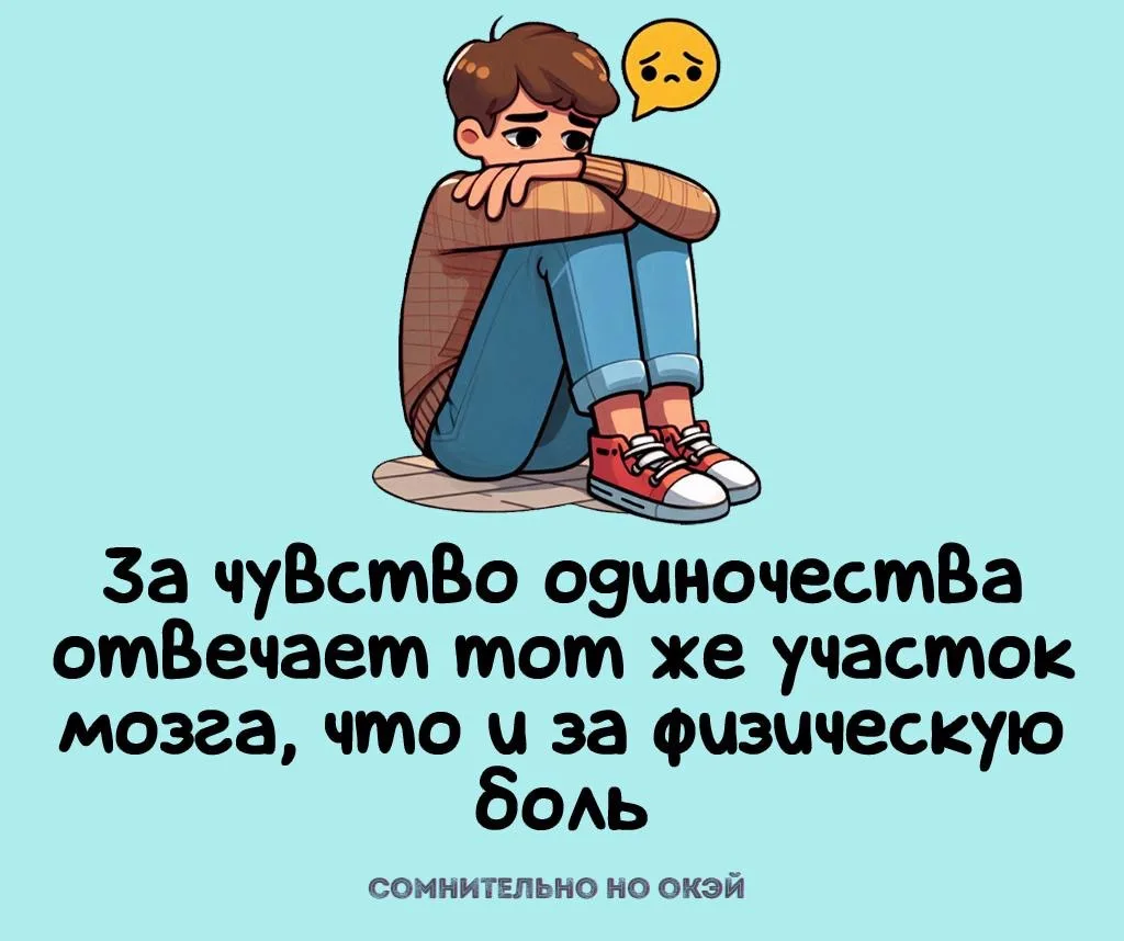 Признавайтесь, знали?