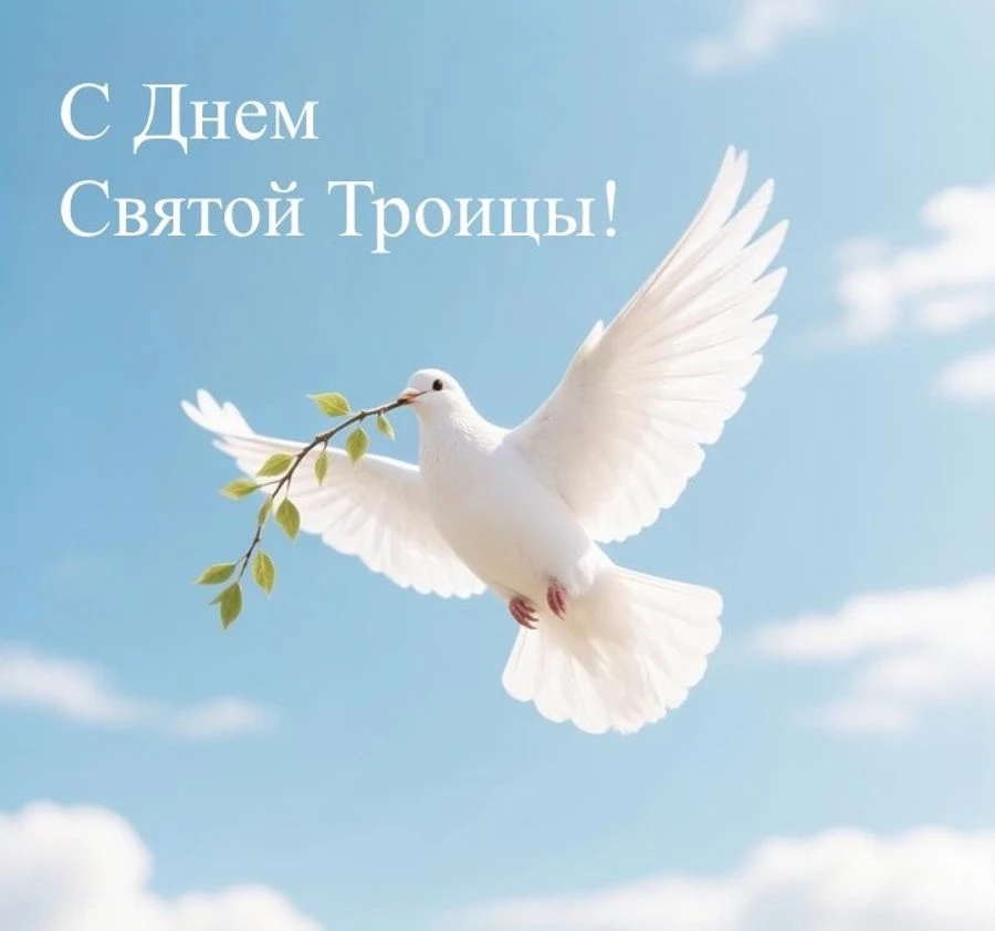 🌿🌿🌿С праздником Святой Троицы!🙏