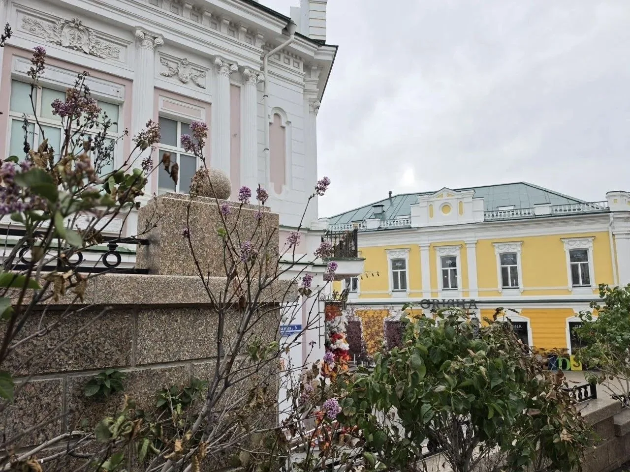 🌸 В Омске на Любинском проспекте зацвела сирень