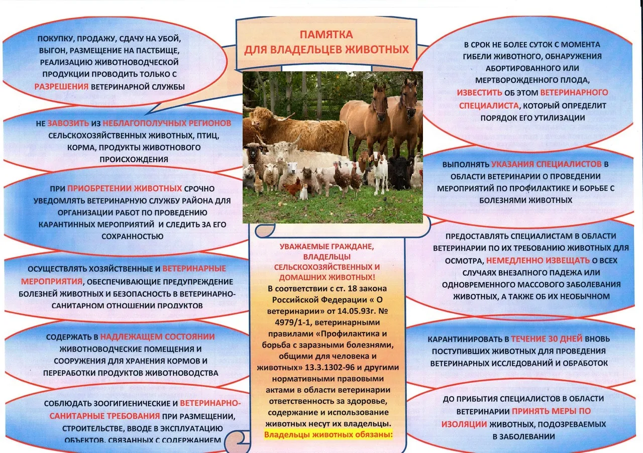 Сохранение эпизоотического благополучия является основной задачей для всех владельцев ЛПХ и КФХ. Для