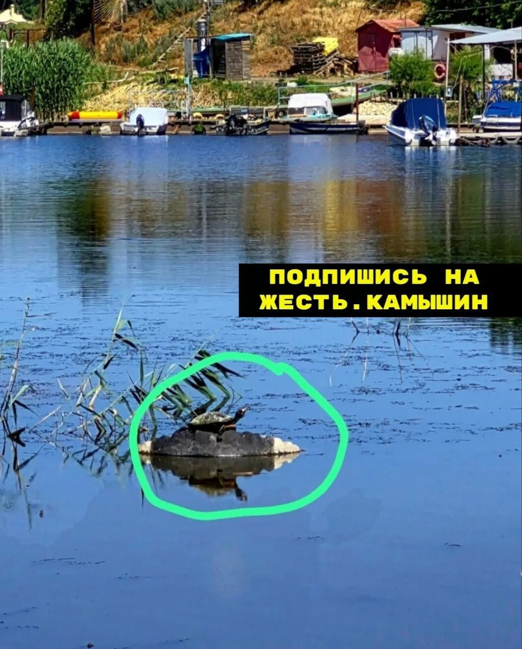 Камышин.