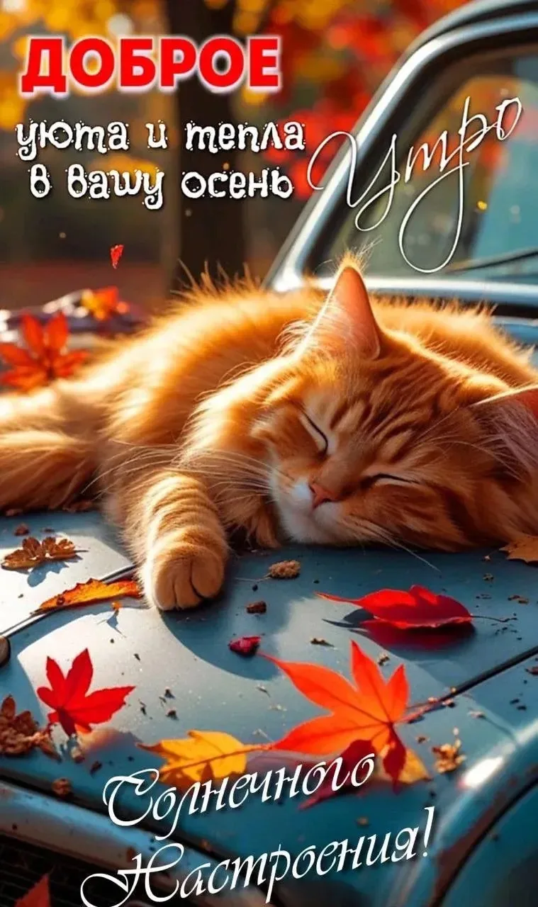 ☕ Доброе утро! 🌺