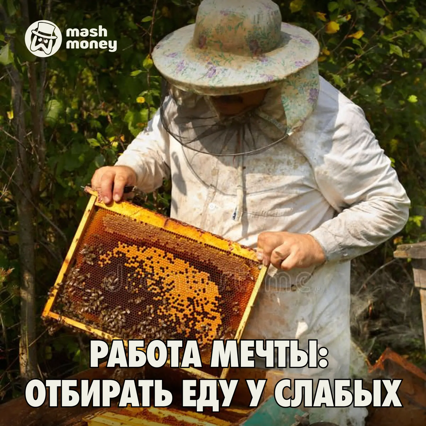 Пасечники могут зарабатывать до 20 млн рублей за сезон: премиальная банка мёда стоит уже 15к рублей.