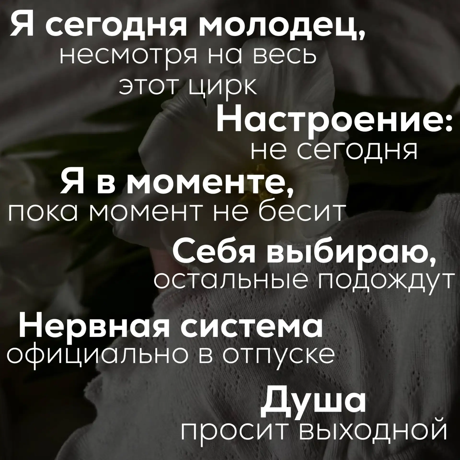 Настроение: я в моменте, пока момент не бесит.
#надписи

Ставьте ❤️ - если понравился набор