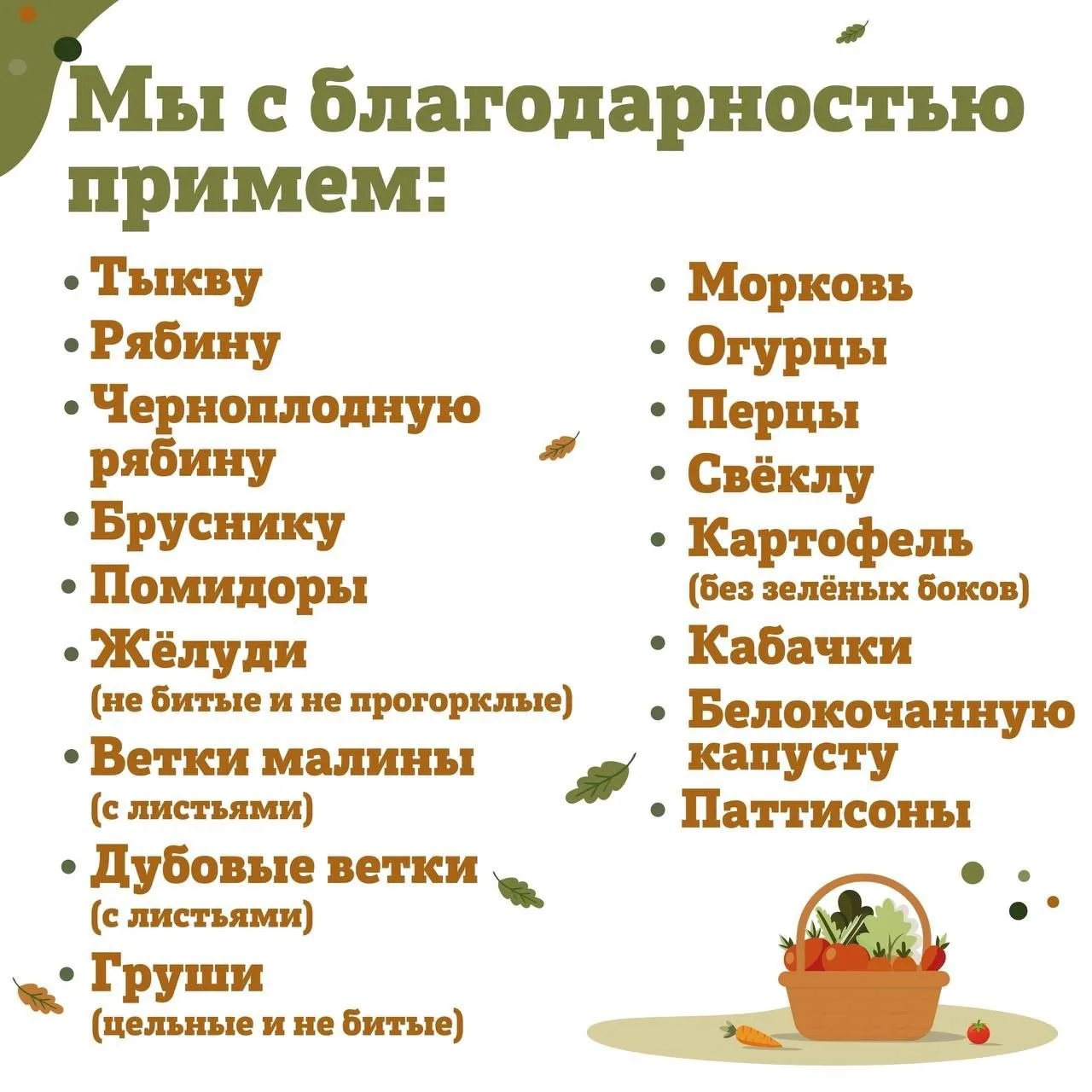 🎉Осень — пора щедрости и добрых дел!🍁