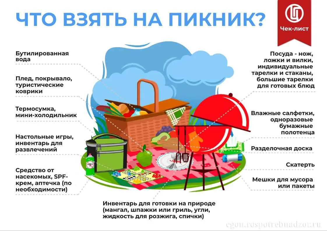 Пикник без инфекций