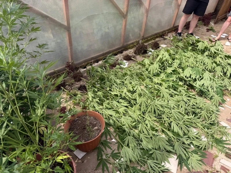 🌿❗ В Прикамье изъяли почти 15,5 кг наркосодержащих растений и растительных наркотиков

В ходе рейдо