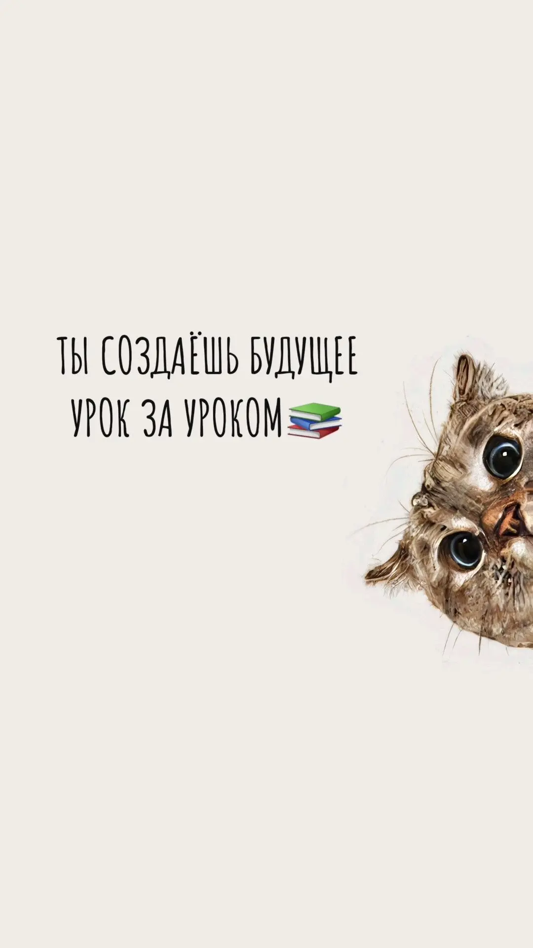 ✨напоминание✨
