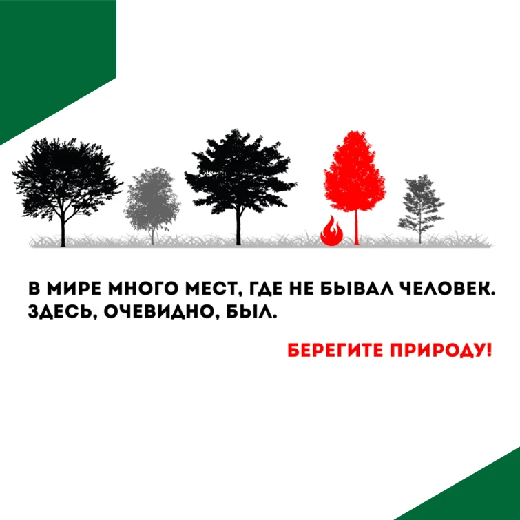 За период с 10.08.2026 -16.08.2026 года зарегистрирован 1 лесной пожар. Площадь лесного...