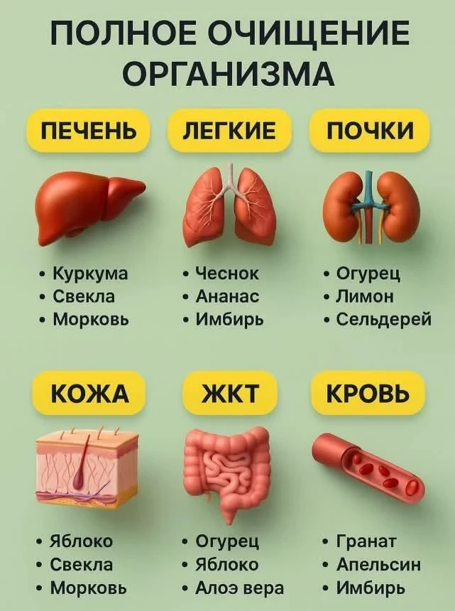 🌿 Продукты для поддержки работы печени