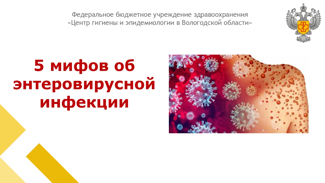 Энтеровирусная инфекция — одна из самых распространённых, но при этом окружённая множеством мифов. Е