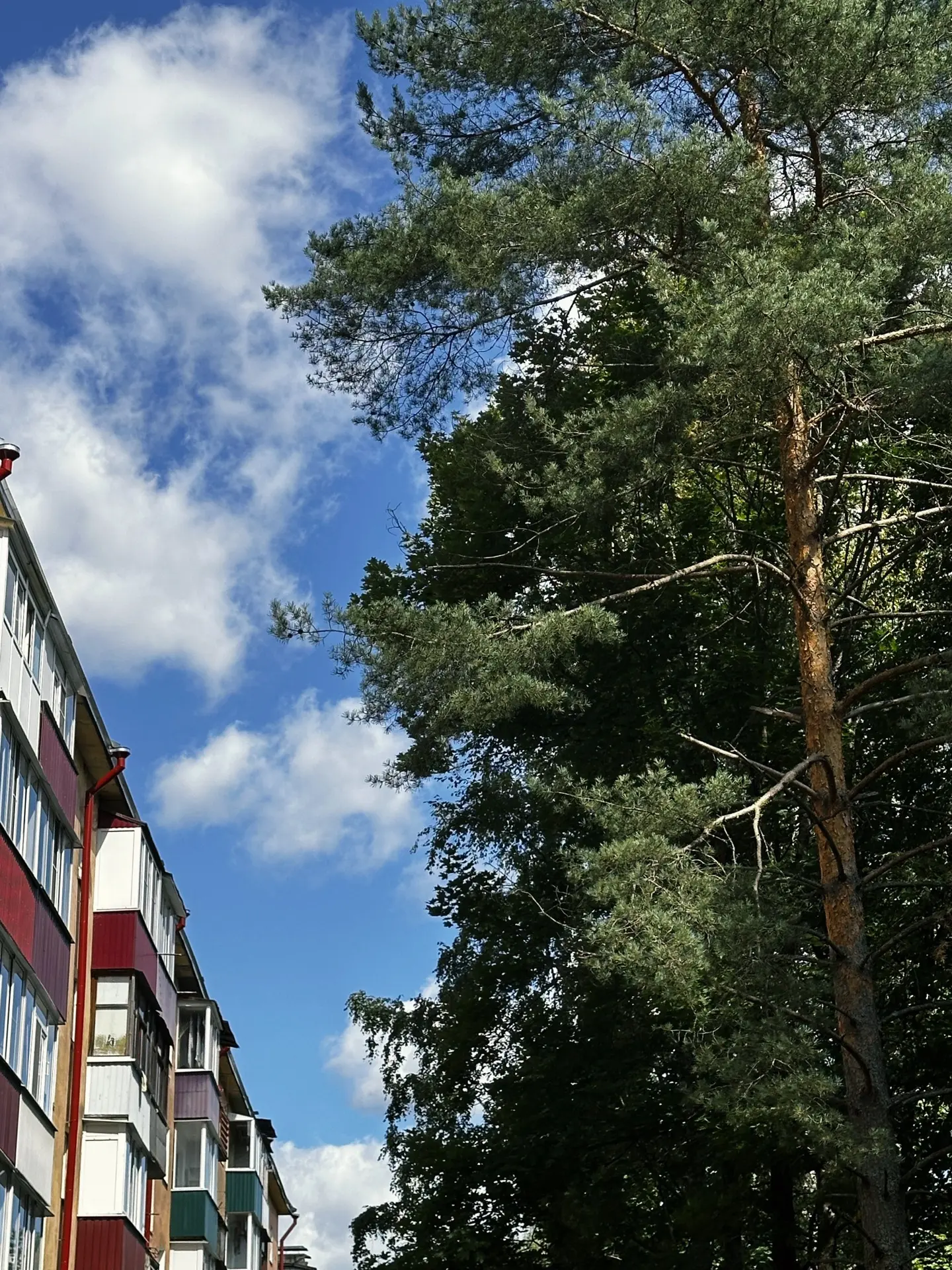 Конец лета - начало осени для  строительной деятельности становится временем своеобразн...