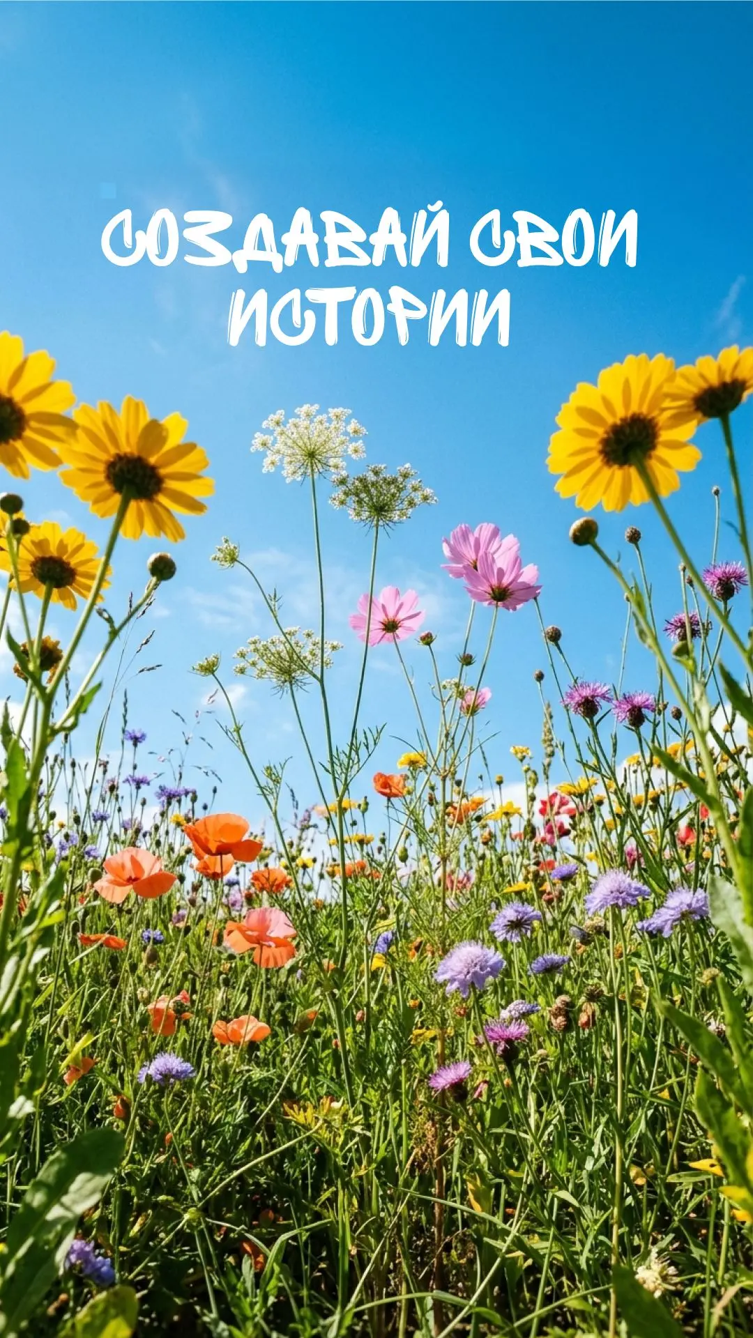 Пусть даже в дождливый летний день на вашем телефоне будет солнце ☀️

Собрали для вас вдохновляющие 