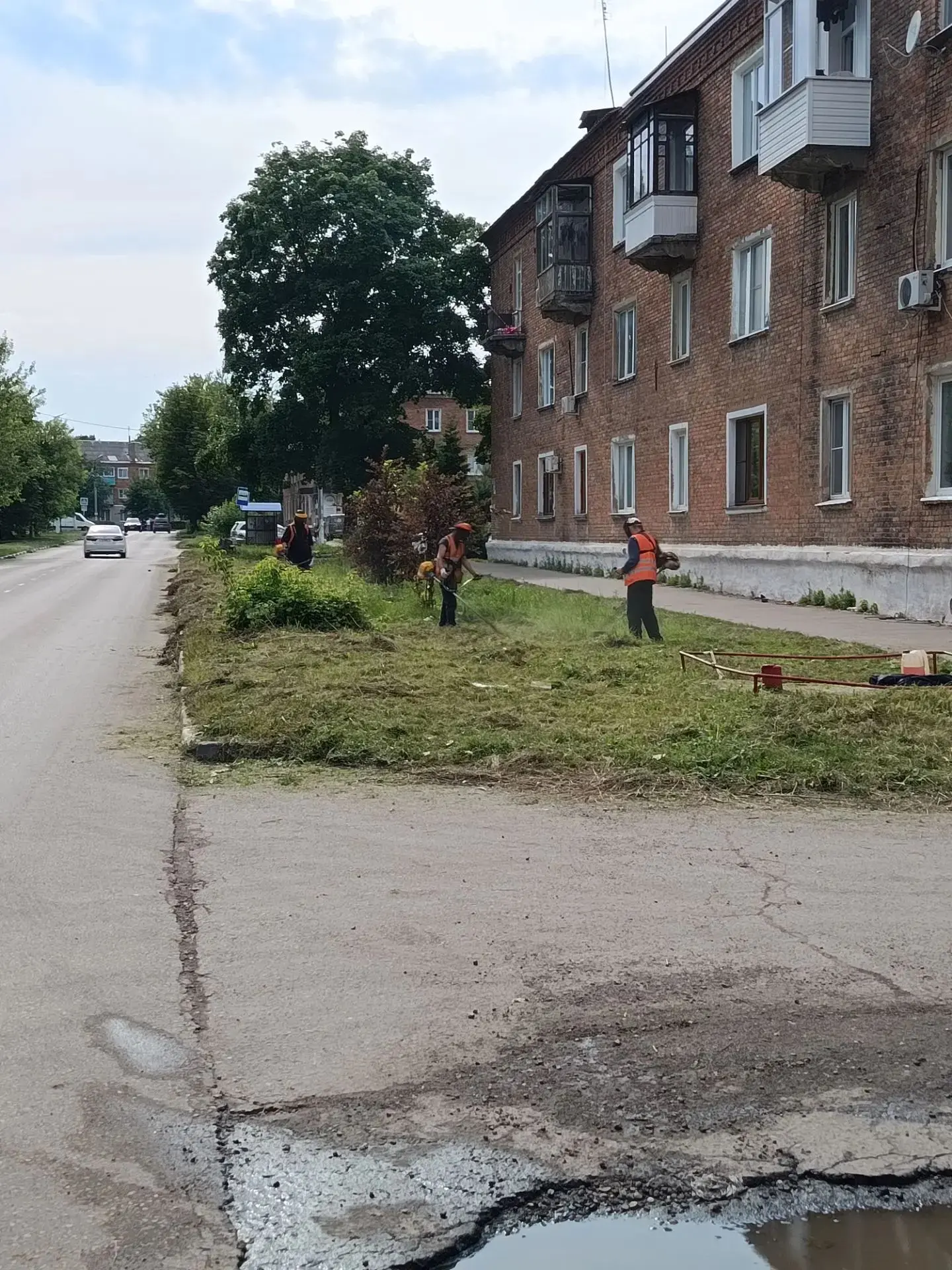 Выполнение работ по окосу и опиловке территорий города
