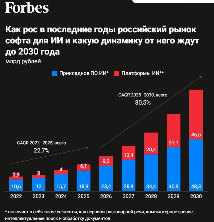 🧐 Общий объем рынка ПО для ИИ в 2025 году вырос на 27% г/г до ₽25 млрд, к 2030 году ожидается средн