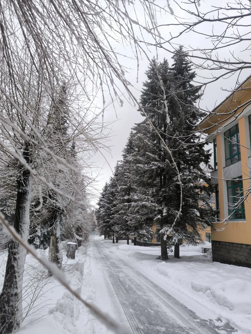 ☀️💙 Доброе утро!