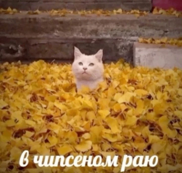 Доброе утро!