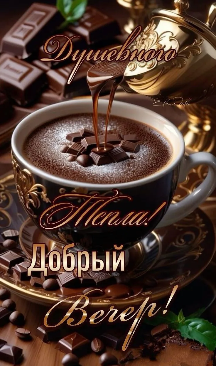 https://max.ru/invista123456