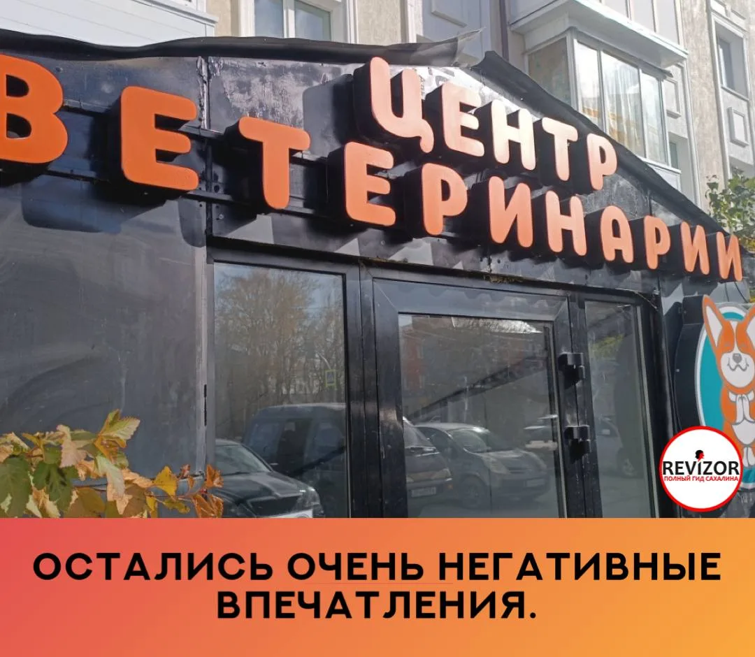 4.10.26 собаке стало плохо, болел живот. Привезли в клинику, сделали укол, сдали анализ...