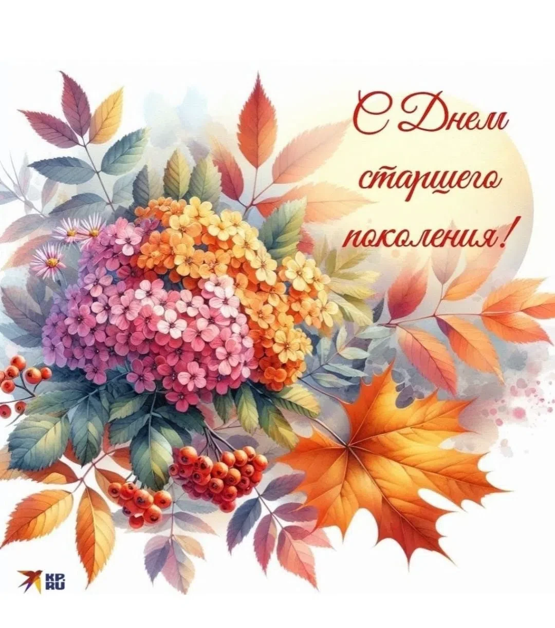 Дорогие земляки! Уважаемые представители старшего поколения!